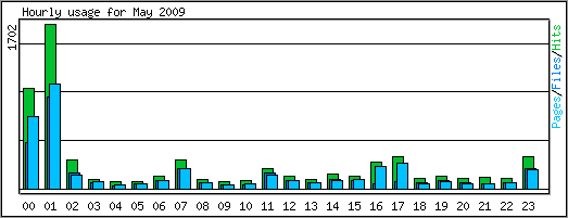 Hourly usage