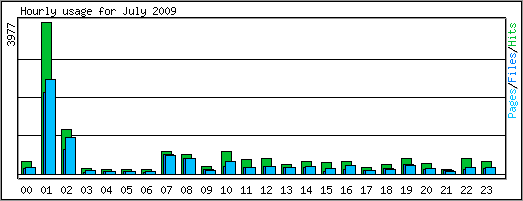 Hourly usage