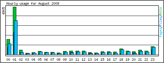 Hourly usage