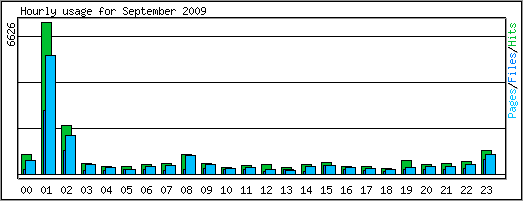 Hourly usage