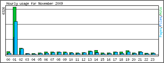 Hourly usage