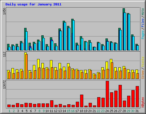 Daily usage for January 2011