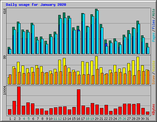 Daily usage for January 2020