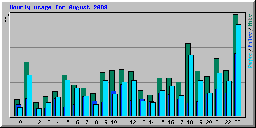 Hourly usage for August 2009